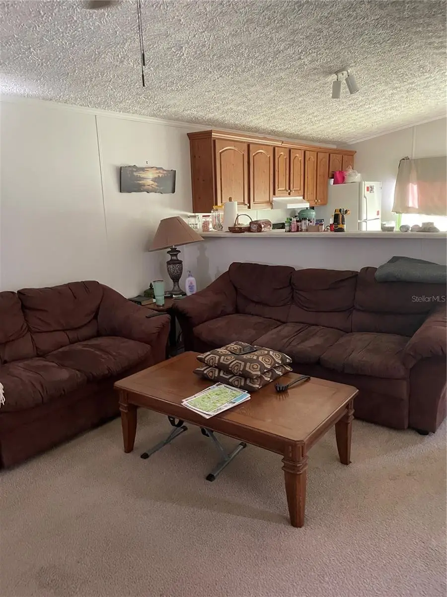 5674 W Grovepark Road, Dunnellon, FL 34433 - #3