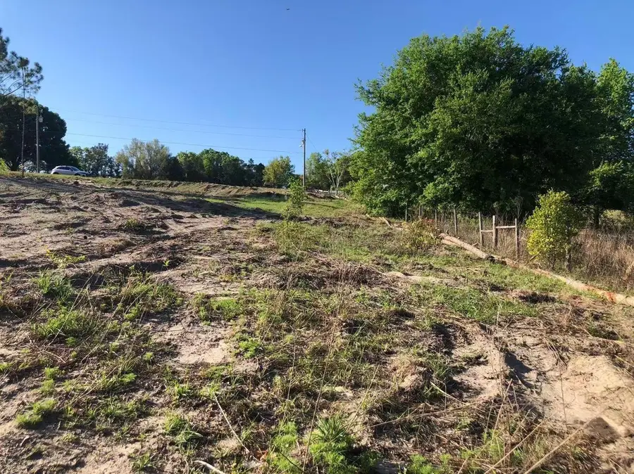 Windy Hill Drive, Eustis, FL 32726 - #3