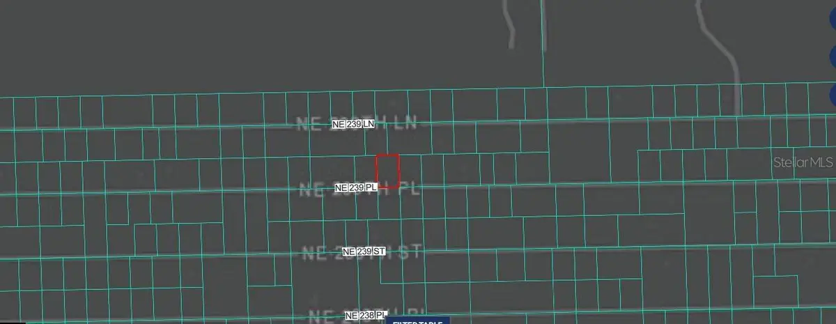 Ne 243rd Place Rd, Fort McCoy, FL 32134 - #1