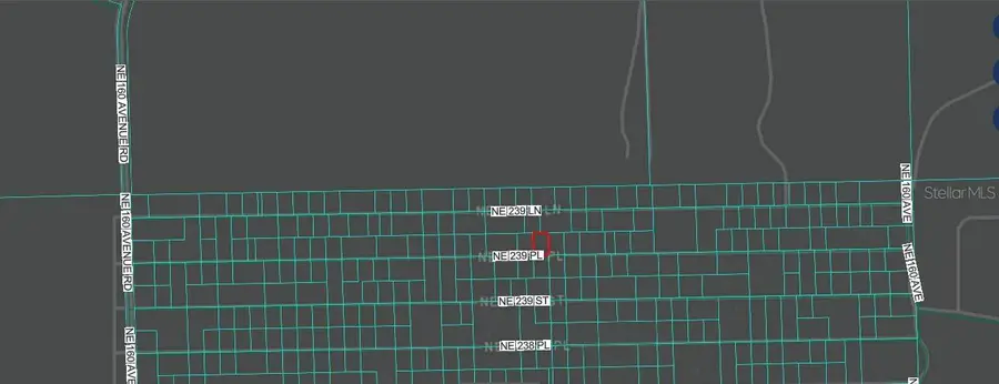 Ne 243rd Place Rd, Fort McCoy, FL 32134 - #3