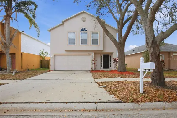11331 Ivy Flower Loop, RIVERVIEW, FL 33578