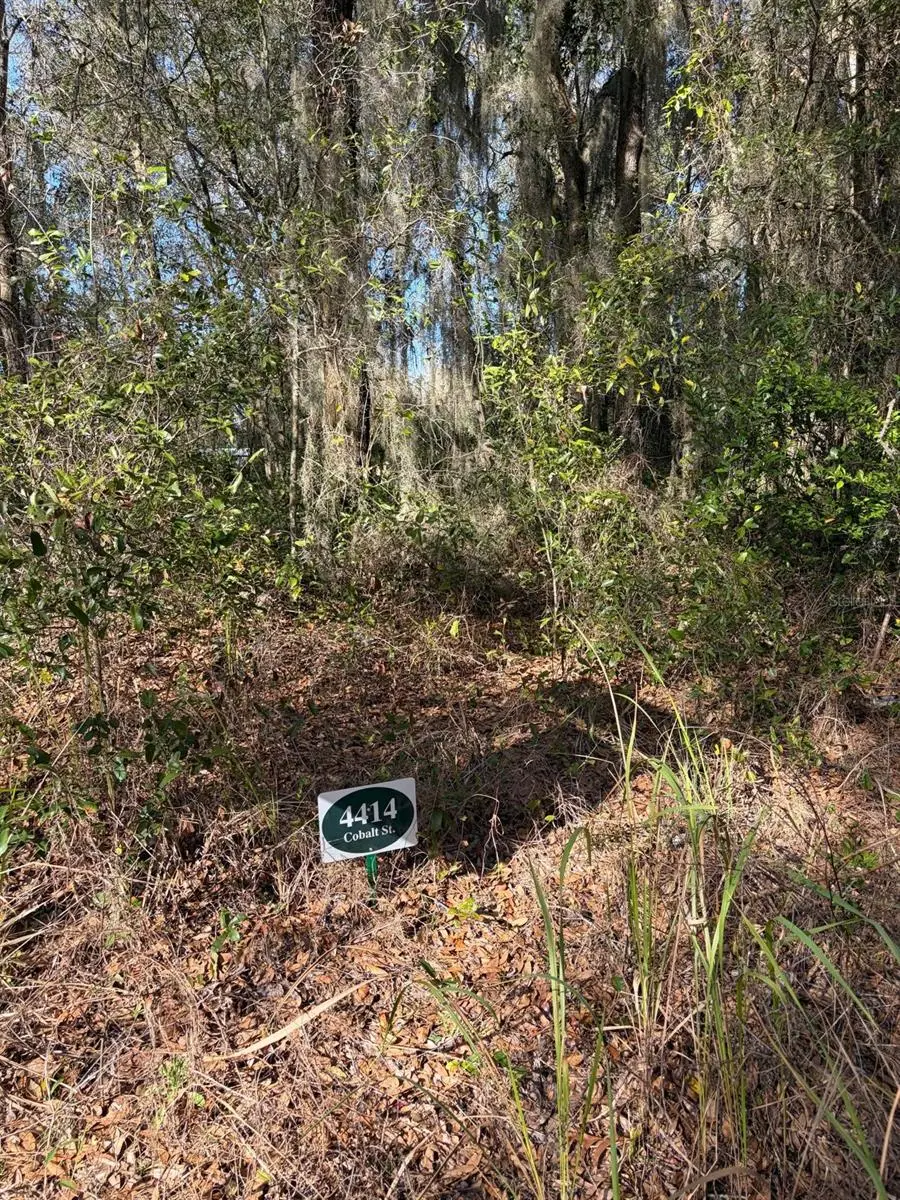 4414 Cobalt Street, Palatka, FL 32177 - #3