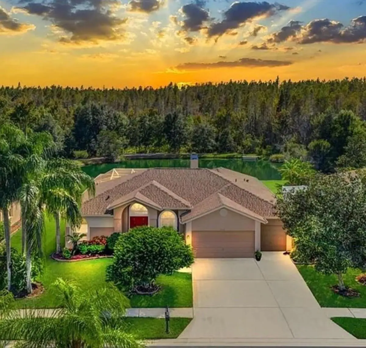 18408 Bittern Avenue, Lutz, FL 33558 - #1