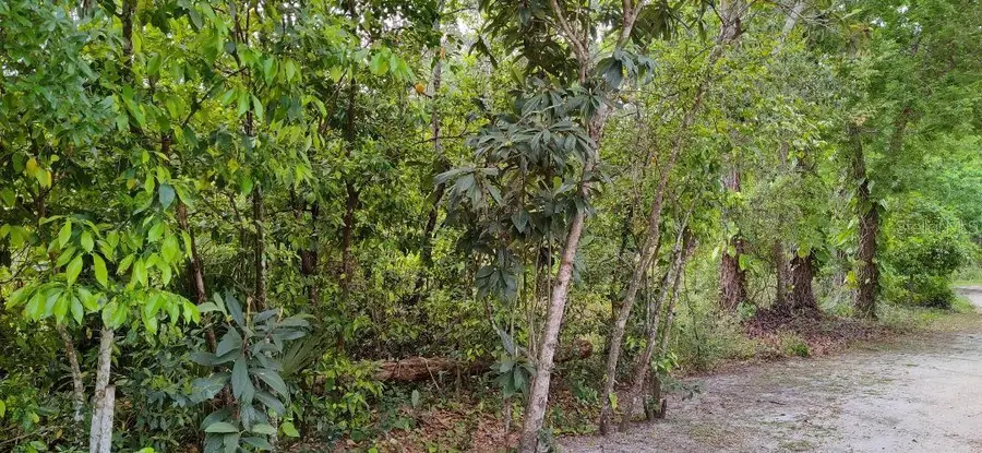 Marjorie Boulevard, Longwood, FL 32750 - #2