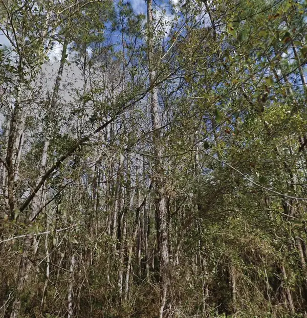 SE 3rd Street, PALATKA, FL 32177