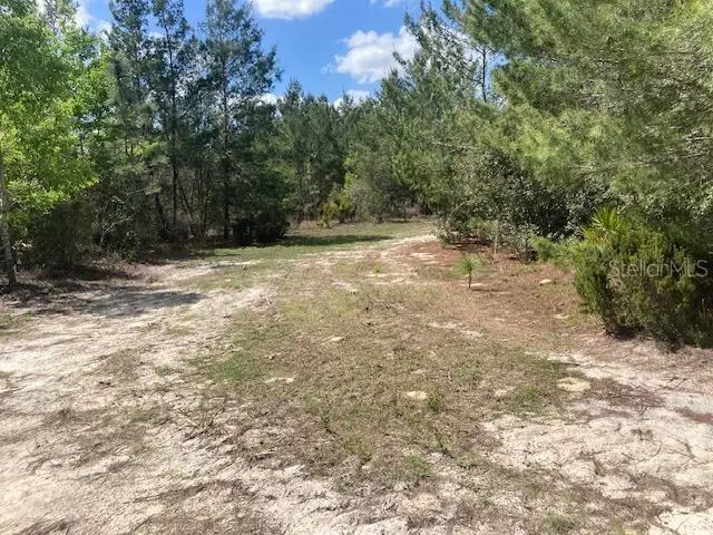 18055 SW 200 Street, Archer, FL 32618 - #3