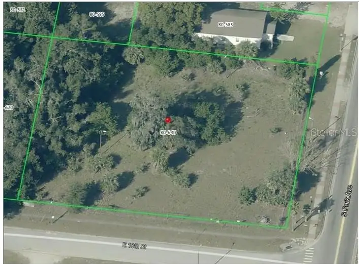 950 S Park Avenue, Apopka, FL 32703 - #1