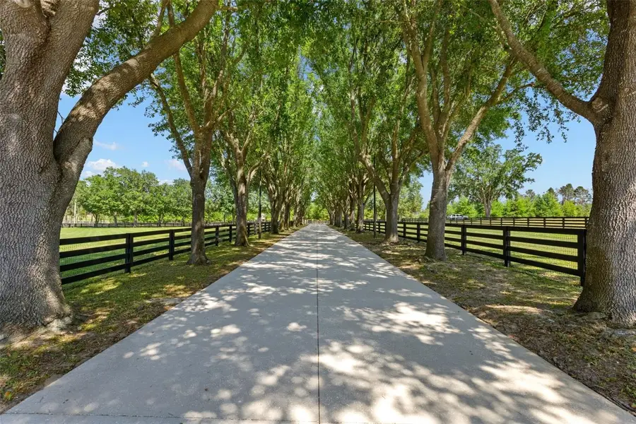 9751 Quiet Lane, Winter Garden, FL 34787 - #2