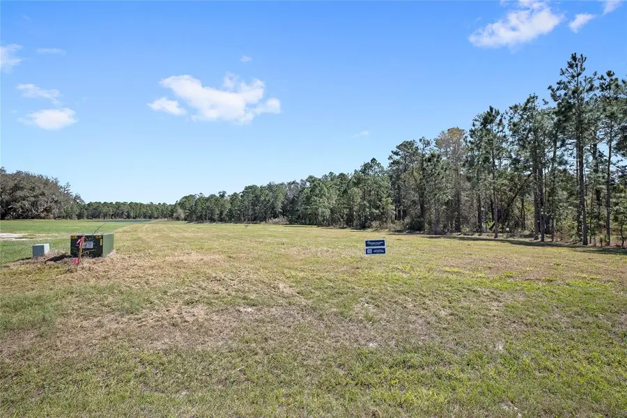 20280 Shoreline Ranch Lane, Umatilla, FL 32784 - #2