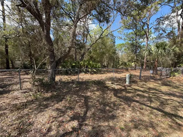 980 N Conant Avenue, CRYSTAL RIVER, FL 34429