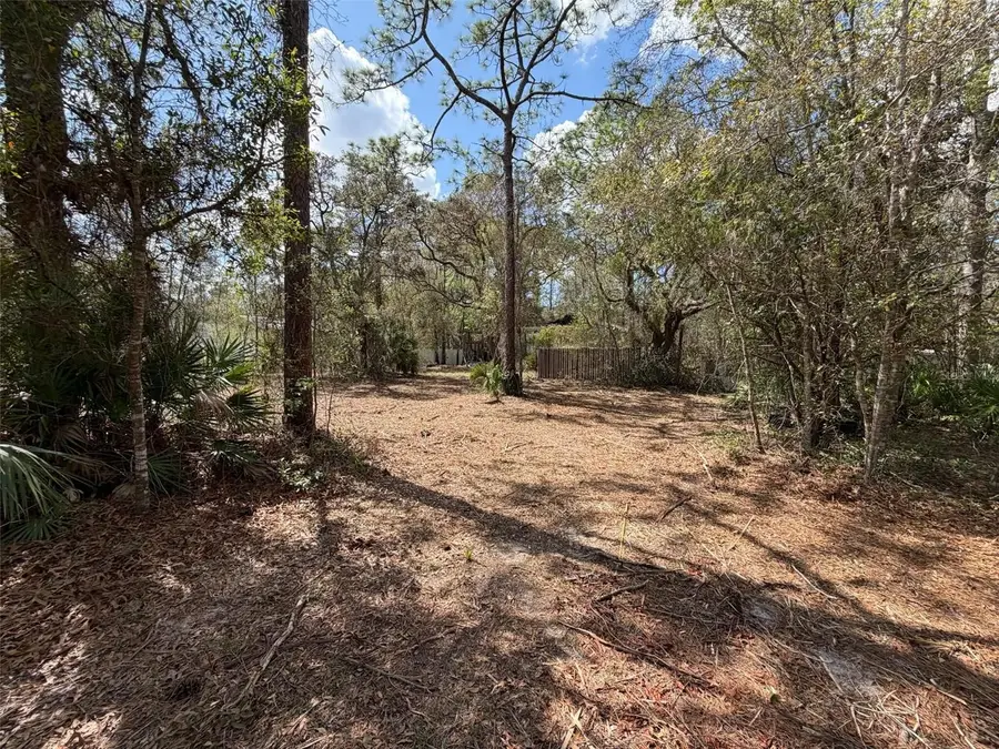 980 N Conant Avenue, Crystal River, FL 34429 - #3