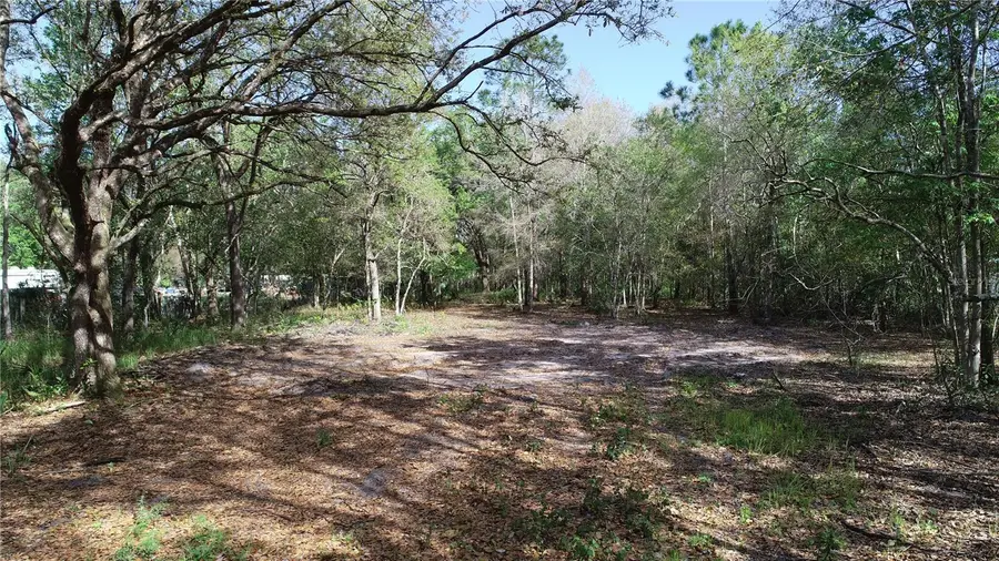 Cedarhurst Rd, Orlando, FL 32820 - #3