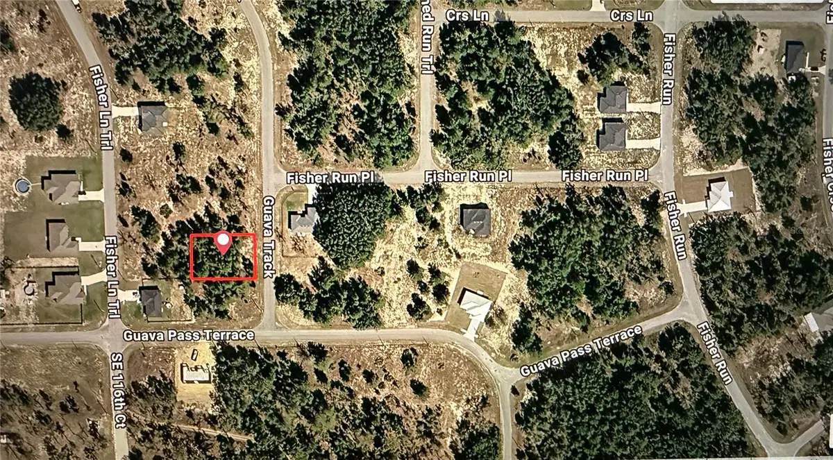 Guava Track, Ocklawaha, FL 32179 - #1