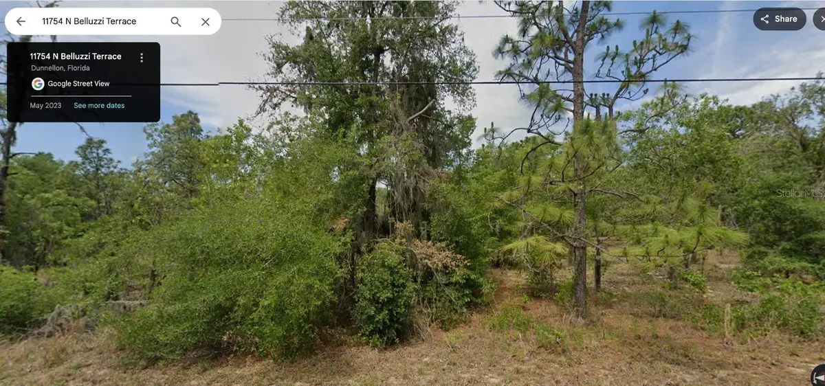 11754 N Belluzzi Terrace, Dunnellon, FL 34433 - #1
