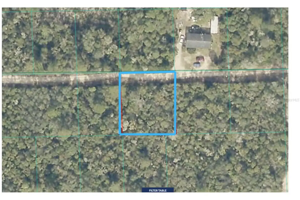 Lot 19 Ne 233rd Lane, Fort McCoy, FL 32134 - #1