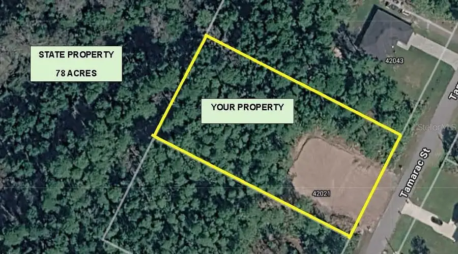 42021 Tamarac Street, Eustis, FL 32736 - #2