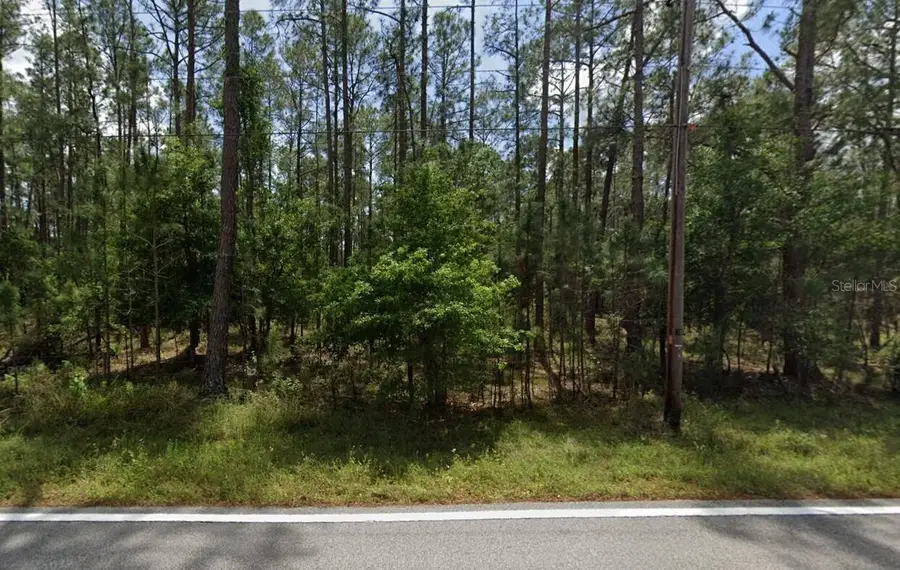 Poyner Oaks Road N, Polk City, FL 33868 - #2