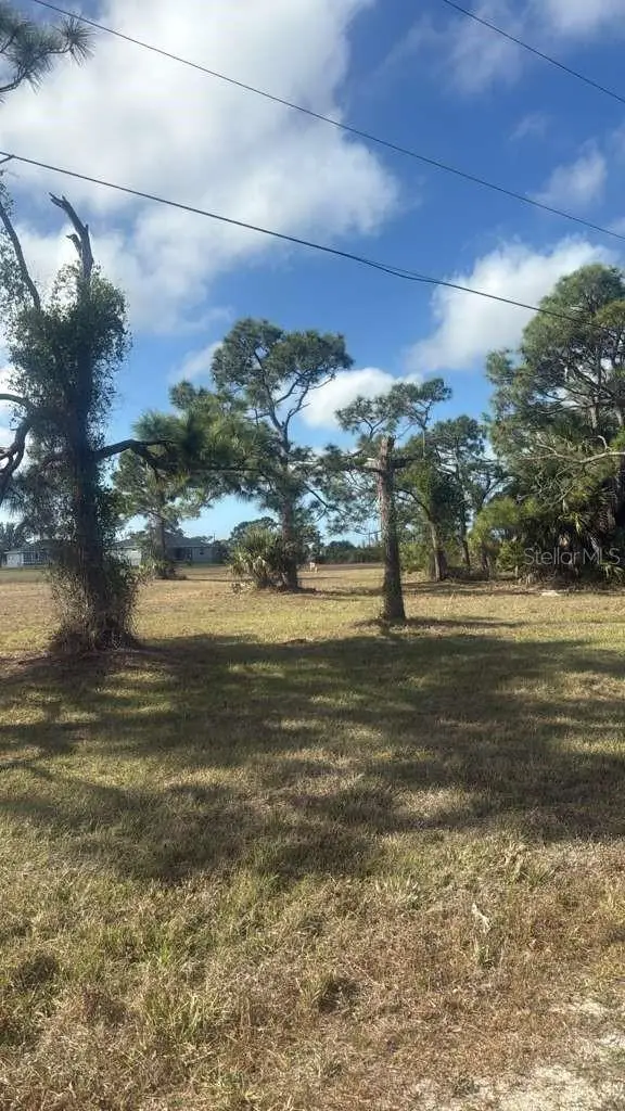 19 Carline Lane, Placida, FL 33946 - #3