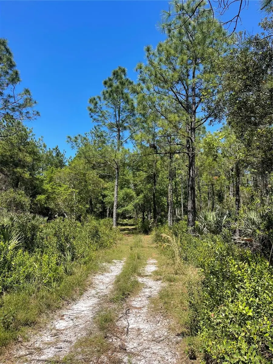 Harrison Road, Mims, FL 32754 - #3