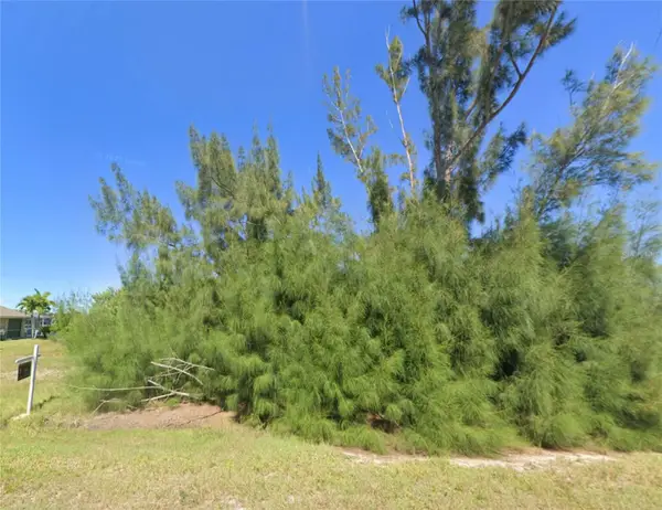 4323 Nw 28th St, CAPE CORAL, FL 33993