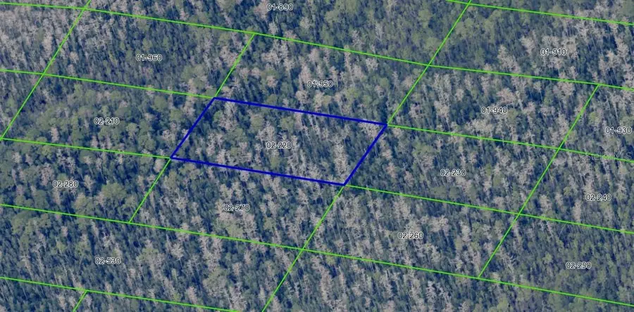 2220 Dill Road, Orlando, FL 32820 - #3