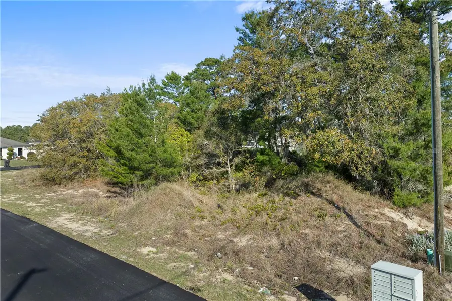 2017 Maple Lane, Poinciana, FL 34759 - #2