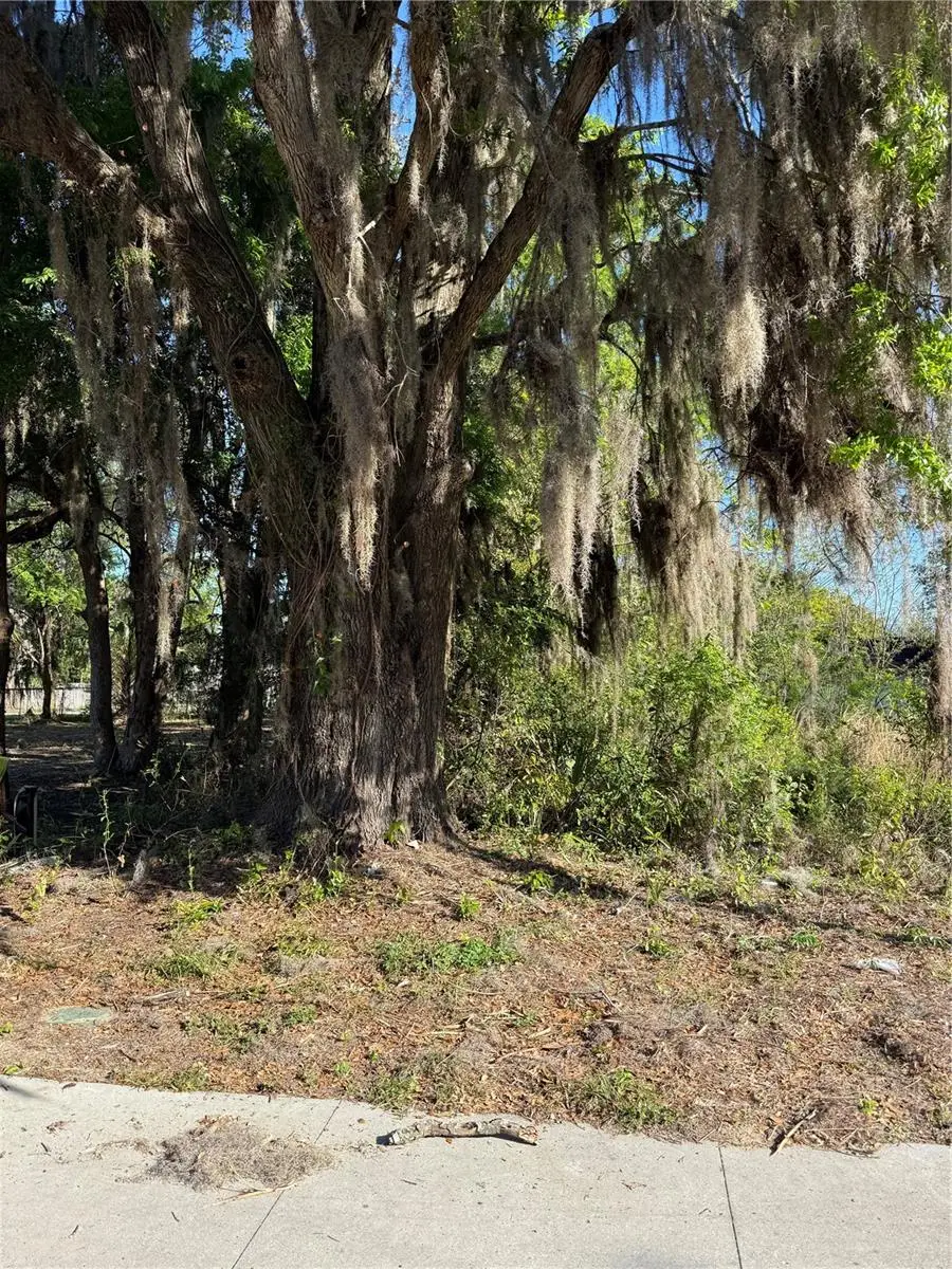 3rd Street, Ocala, FL 34471 - #2