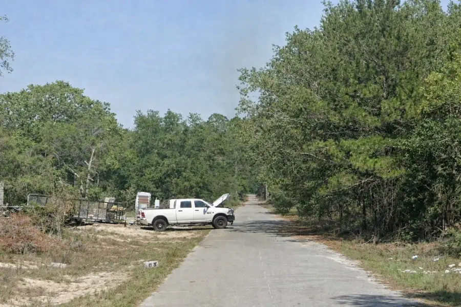 Malauka Pass Trl, Ocklawaha, FL 32179 - #2