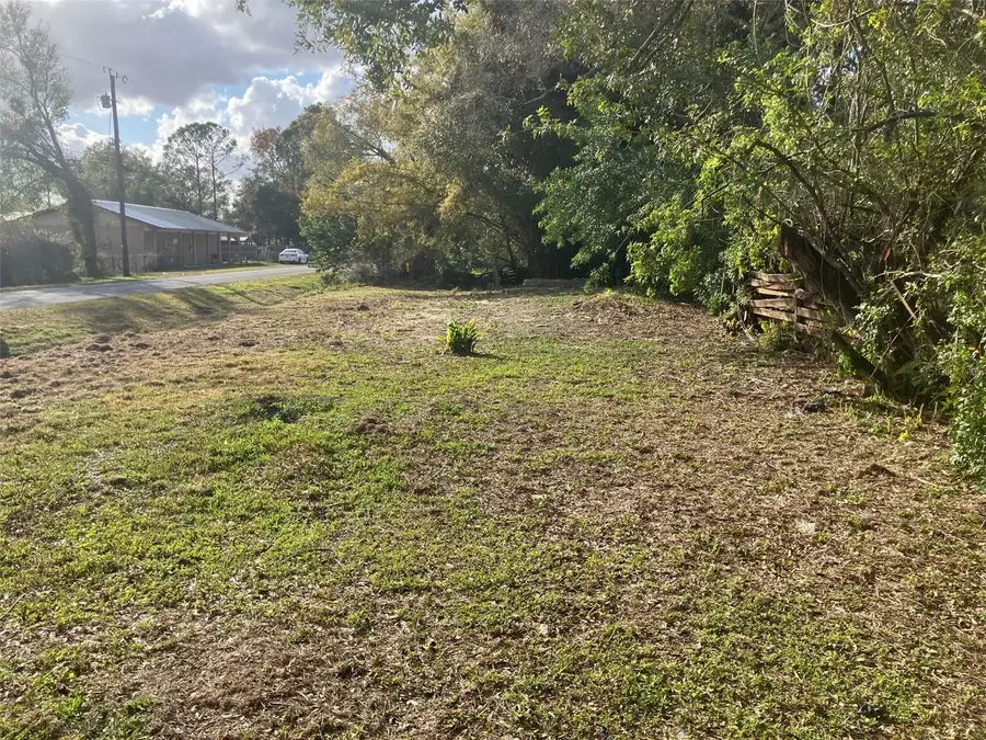 1909 W Patterson Street, Lakeland, FL 33815 - #2