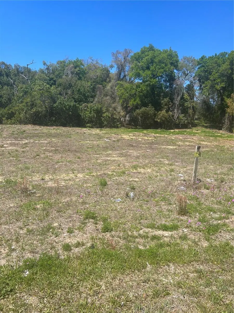 2518 Haas Road, Apopka, FL 32712 - #3