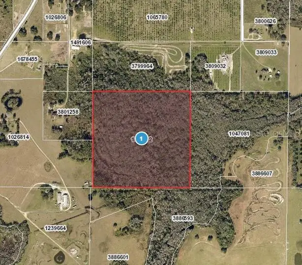 Hidden Grove Road, Clermont, FL 34711 - #1