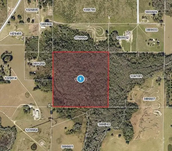 Hidden Grove Road, CLERMONT, FL 34711