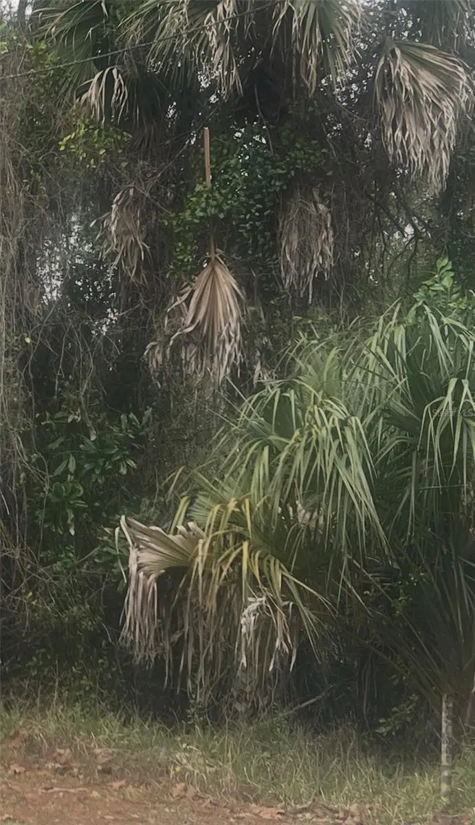 900 W 3rd Street, Saint Augustine, FL 32084 - #3