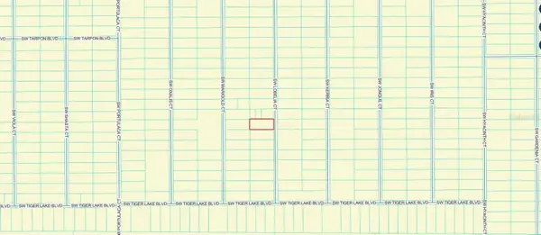 0000 SW Lobelia Ct, DUNNELLON, FL 34431
