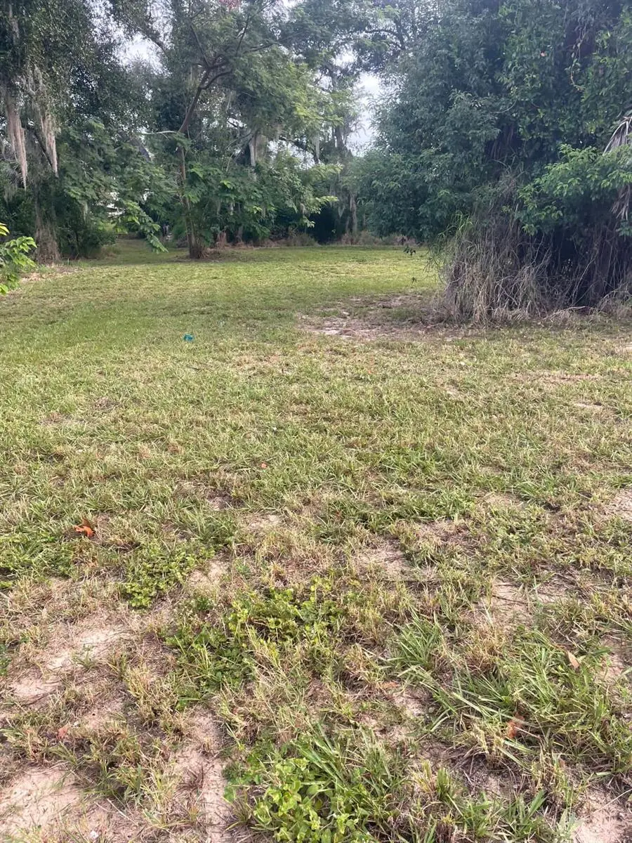 1000 W Montrose Street, Clermont, FL 34711 - #3