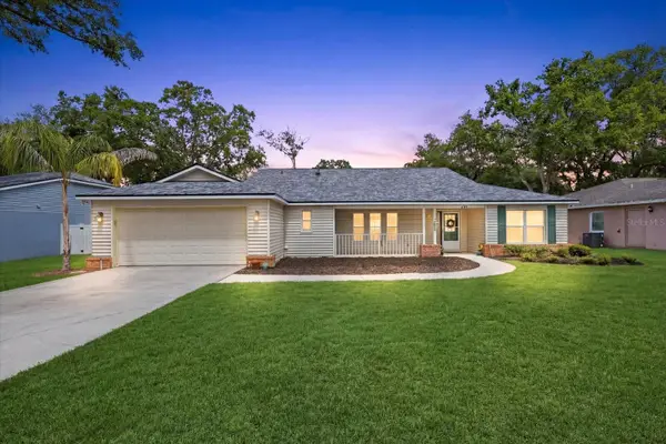 224 Bryan Oak Avenue, BRANDON, FL 33511