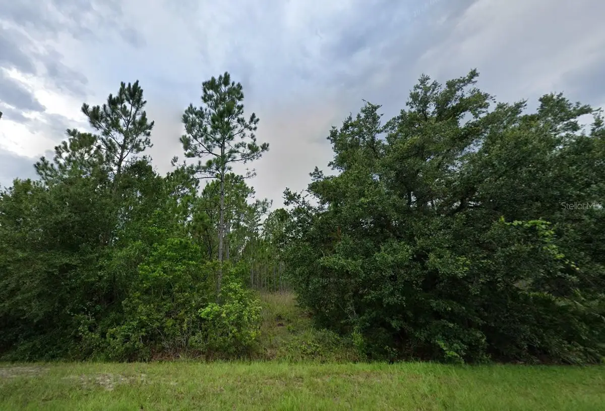 4014 Coronet Avenue, Orlando, FL 32833 - #1