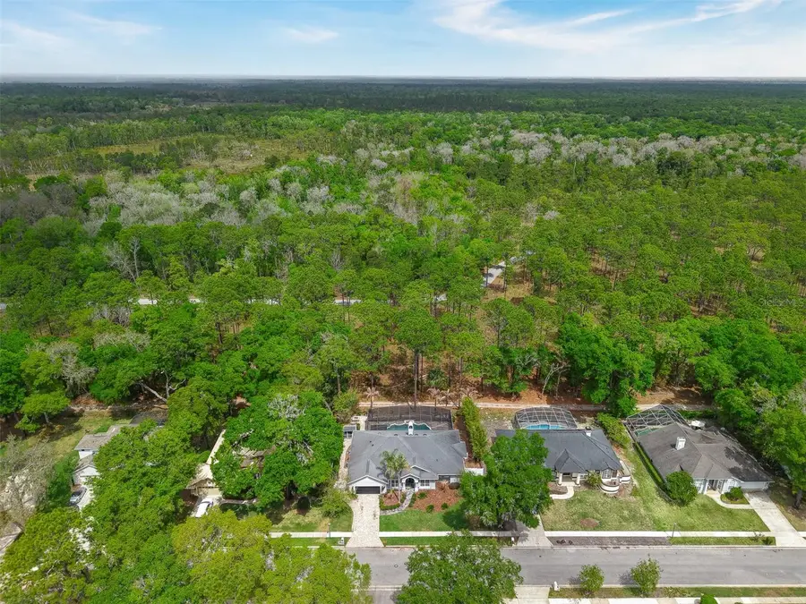 2305 Park Village Place, Apopka, FL 32712 - #3