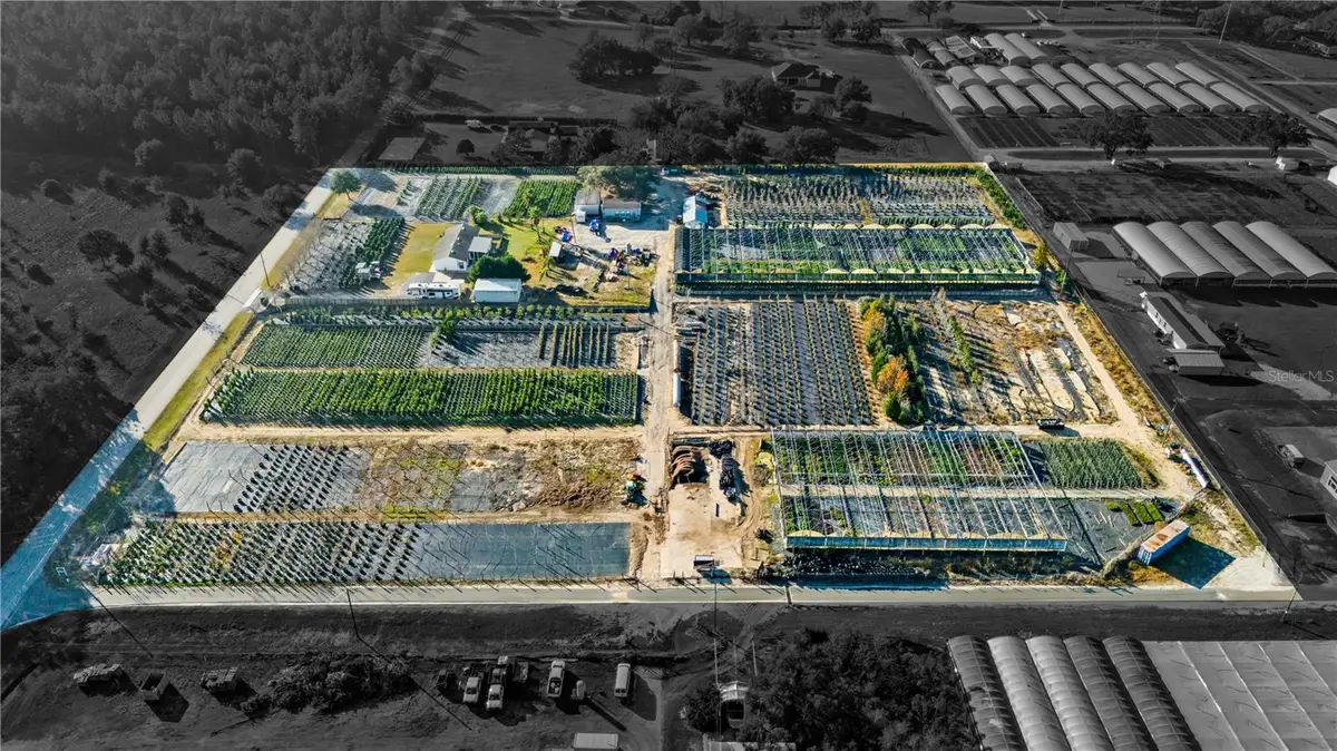 4004 Rex Drive, Winter Garden, FL 34787 - #1