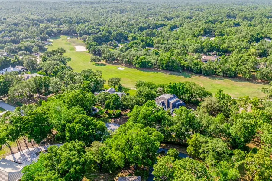 3175 W Pebble Beach Court, Lecanto, FL 34461 - #2