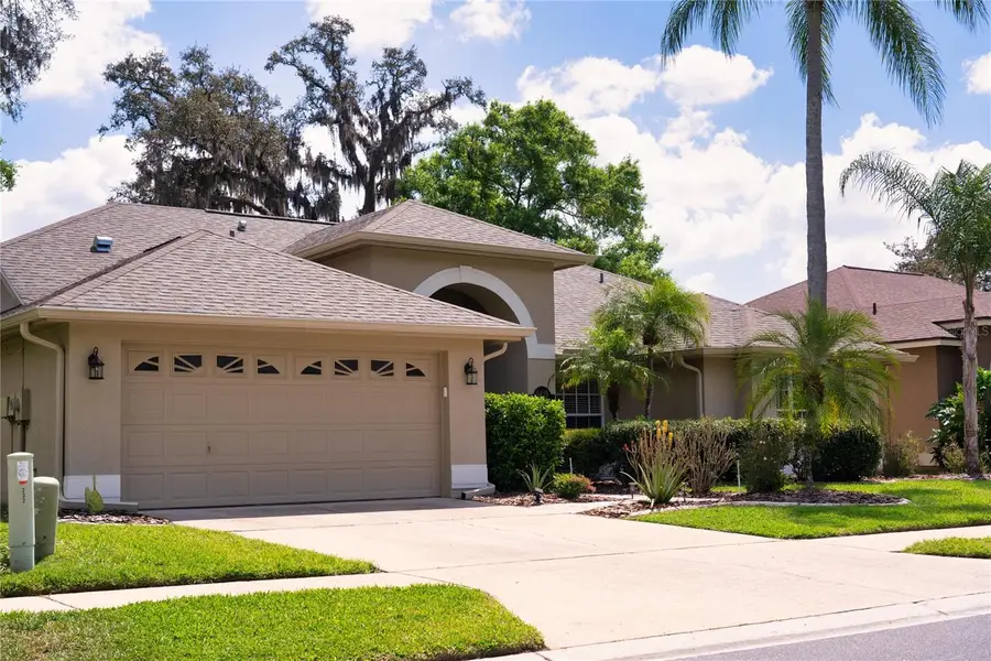 8435 Basuto Drive, Trinity, FL 34655 - #2