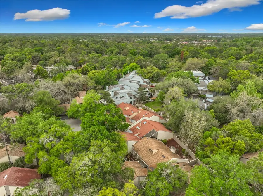 207 Weeping Elm Lane, Longwood, FL 32779 - #2