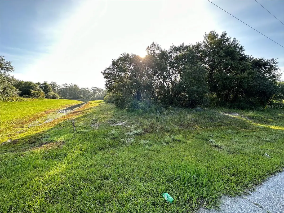 0 Mediterranean Drive, Poinciana, FL 34759 - #1