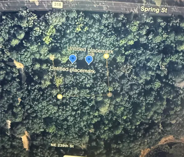 NE 239th Place, ORANGE SPRINGS, FL 32182