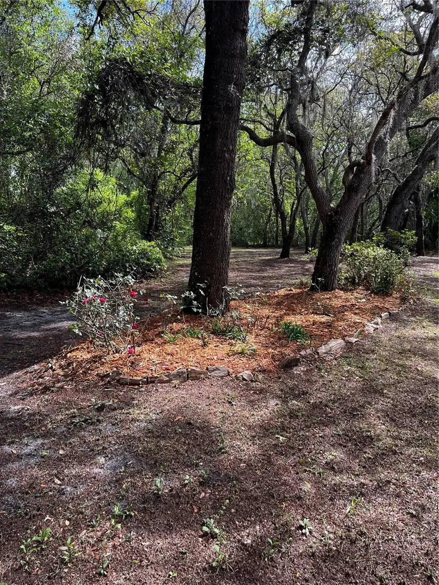 29716 Deerwood Farms Road, Sorrento, FL 32776 - #2