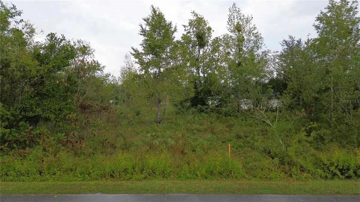 1917 Nw 4th St, Ocala, FL 34471 - #1