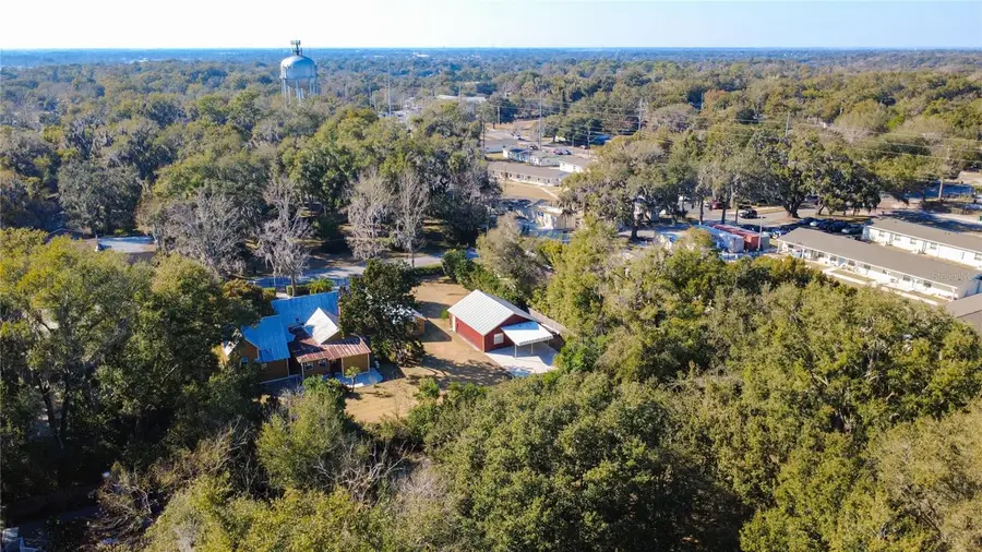 1148 N Grandview Street, Mount Dora, FL 32757 - #3