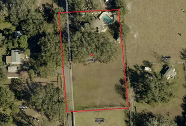 10424 Lyons Avenue, LITHIA, FL 33547