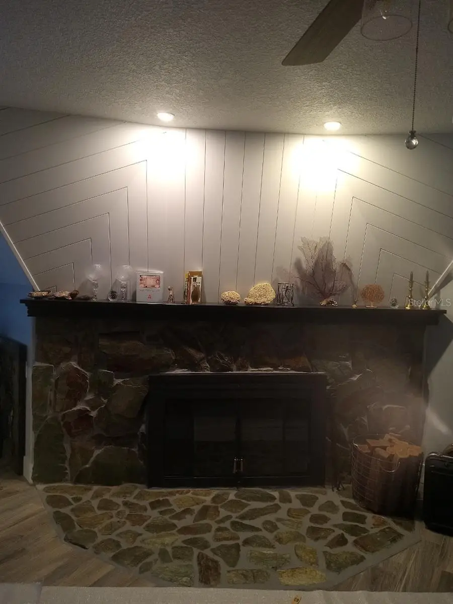 10424 Lyons Avenue, Lithia, FL 33547 - #3