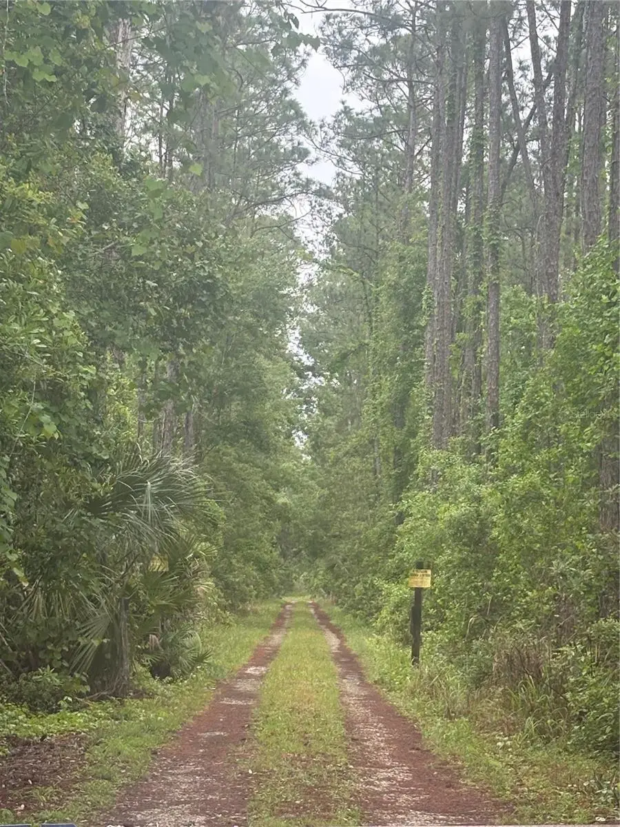 No Street, Deland, FL 32724 - #2